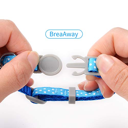 Personalized Breakaway Cat Collar with Engraved Identification Tags