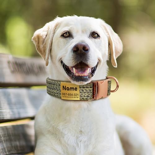 Personalized Dog Collar with Engraved ID Tag