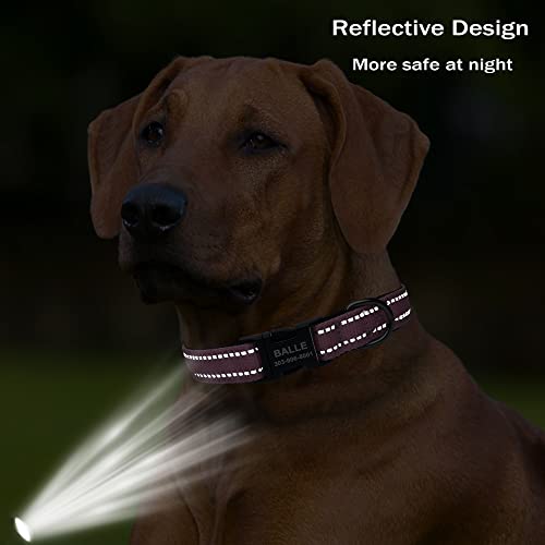 Custom Reflective Dog Collar with Metal Buckle - Various Colors