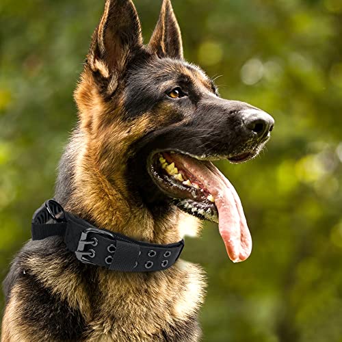 Custom Military Dog Collar with Handle and Personalized Tags