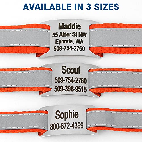 Reflective Personalized Dog Collar with Custom Engraved ID Tag