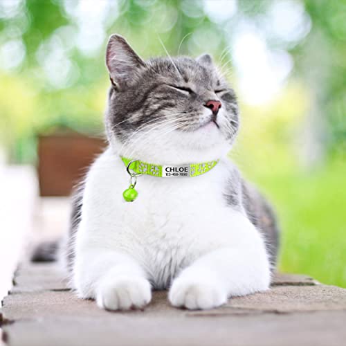 Personalized Reflective Cat Collar Set with Name Tag