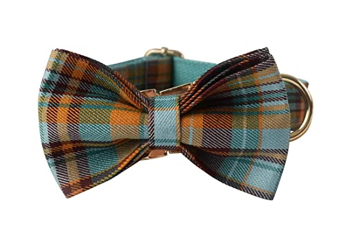 Personalized Dog Collar with Engraved Names and Number