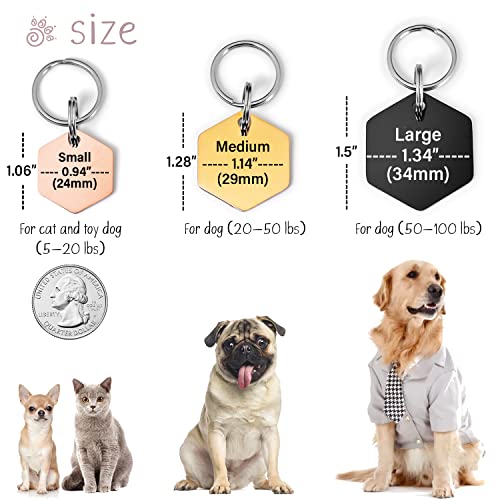 Personalized Double-Sided Stainless Steel Pet ID Tags