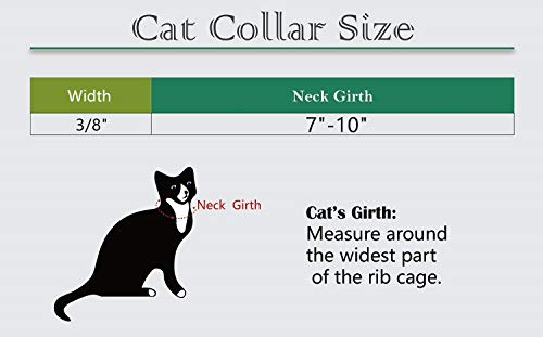 Personalized Breakaway Cat Collar with Engraved Identification Tags