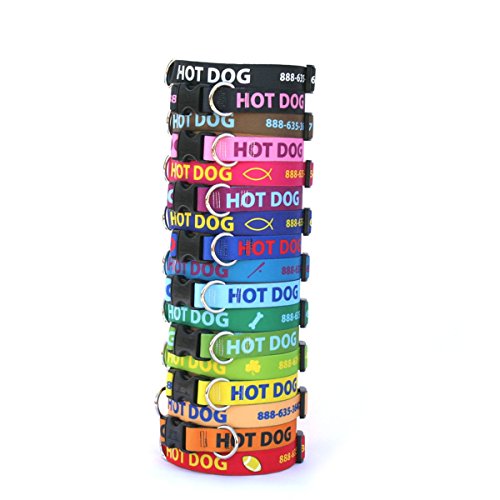 Custom Hi-Def Text & Art Dog Collar - 7 Sizes & 21 Colors