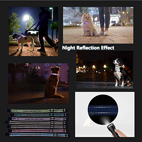 Personalized Embroidered Dog Collar - Customizable with ID