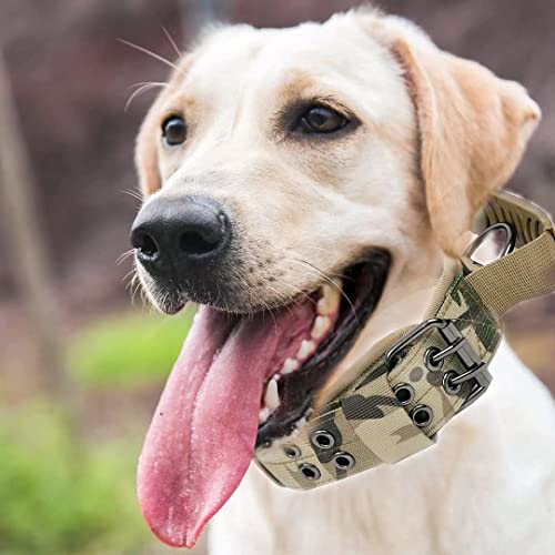 Custom Military Dog Collar with Handle and Personalized Tags