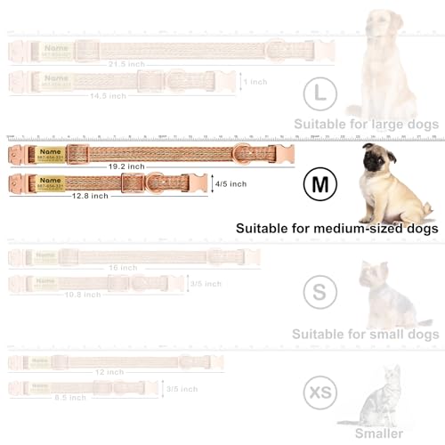 Personalized Dog Collar with Engraved ID Tag