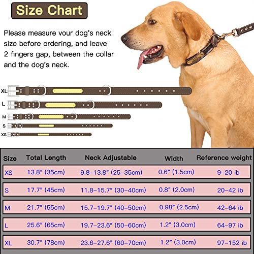 Personalized Genuine Leather Dog Collar for All Sizes