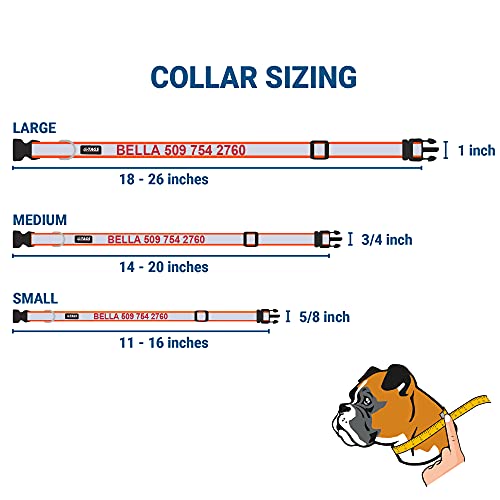 Reflective Personalized Dog Collar with Custom Engraved ID Tag