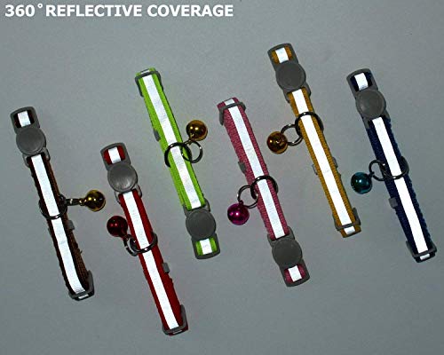 Personalized Breakaway Cat Collar with Engraved Identification Tags