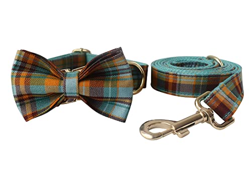 Personalized Dog Collar with Engraved Names and Number