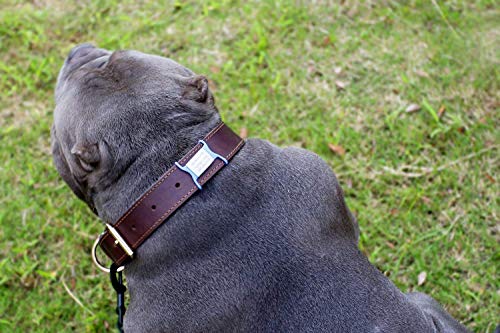 Personalized Slide-On Pet ID Tags with Laser Engraving