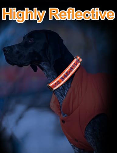 Custom Reflective Nylon Dog Collar with Personalized Name