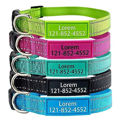 Reflective Nylon Personalized Dog Collar with Custom ID