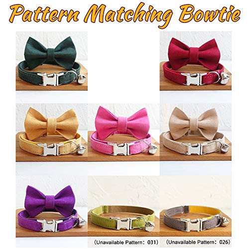 Customizable Cat Collar with Engraved Name Plate (Velvet)