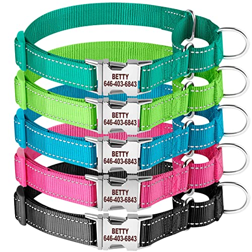 Custom Reflective Martingale Collar with Personalized Embroidery