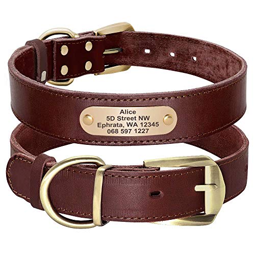 Custom Engraved Leather Dog Collar for Medium Large Dogs