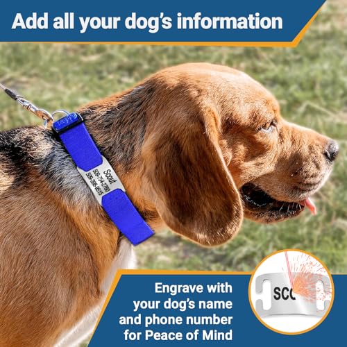Reflective Personalized Dog Collar with Custom Engraved ID Tag