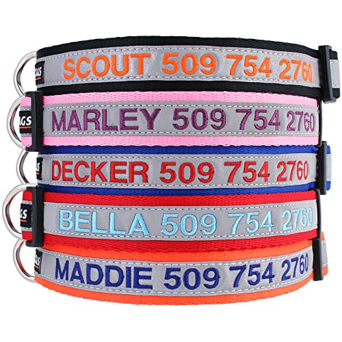 Reflective Personalized Dog Collar with Embroidered Name and Phone