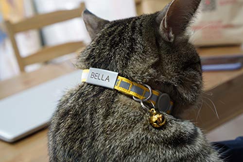 Personalized Breakaway Cat Collar with Engraved Identification Tags