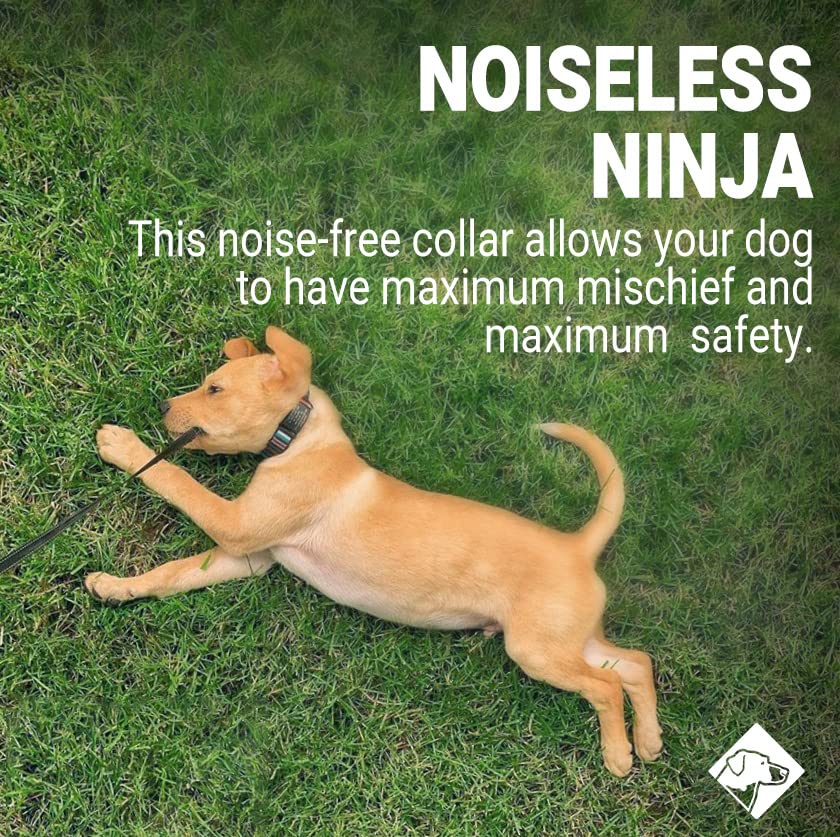 Personalized Engraved Dog Tag for Pets - Custom Stainless Steel