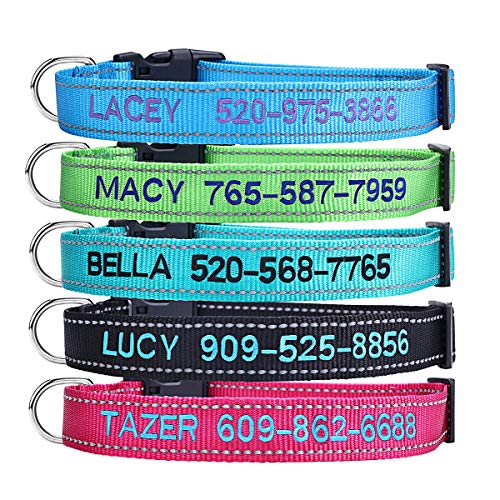 Custom Embroidered Dog Collar with Name and Phone