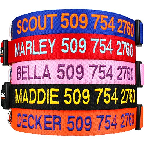 Personalized Embroidered Dog Collar with Pet Name & Phone