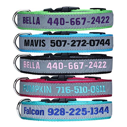 Personalized Embroidered ID Collar for Dogs: 4 Sizes