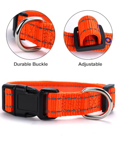 Custom Reflective Nylon Dog Collar with Personalized Name
