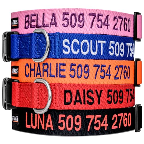 Personalized Dog Collar with Custom Embroidery for Pets