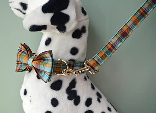 Personalized Dog Collar with Engraved Names and Number