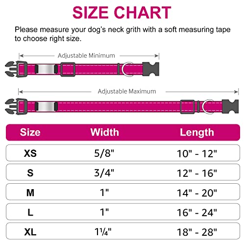 Personalized Reflective Nylon Dog Collar for Large Dogs