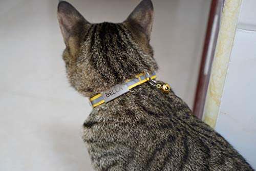 Personalized Breakaway Cat Collar with Engraved Identification Tags