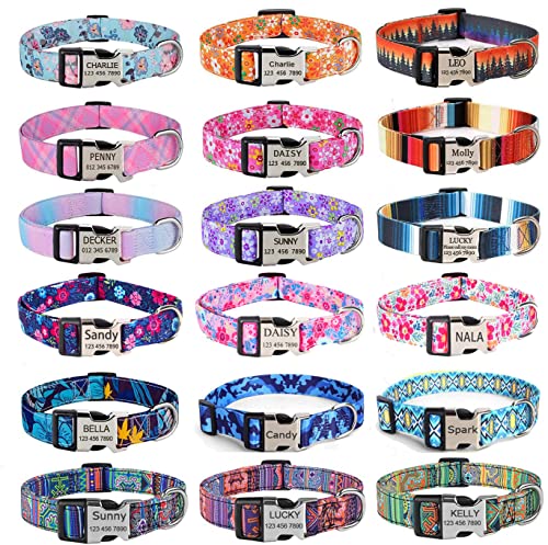 Floral Engraved Personalized Dog Collar - Customized for Dogs