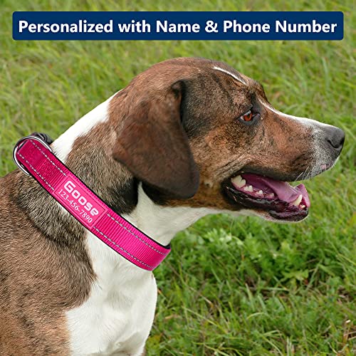 Customized Reflective Dog Collars with Personalized Name & Number
