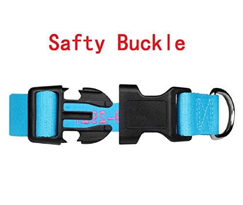 Blue FlowerTown Personalized Dog Collar with Embroidered Name