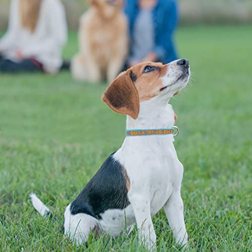 Personalized Reflective Dog Collar with Custom Embroidery