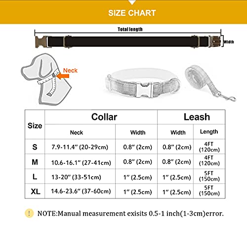 Personalized Dog Collar with Engraved Names and Number