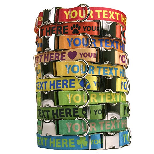 Premium Custom Dog Collar: 20 Colors + Horizontal Text