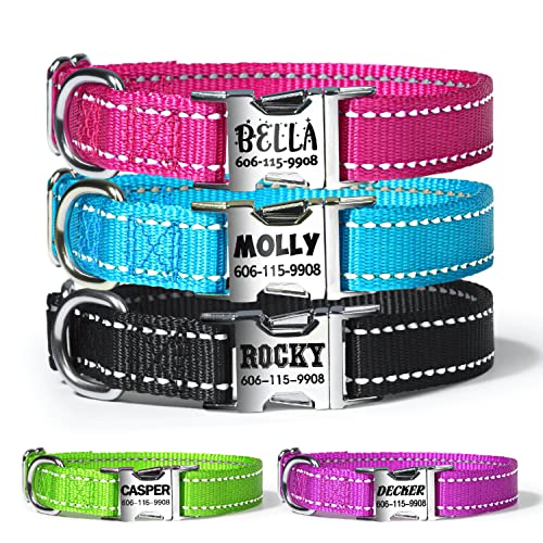Custom Nylon Dog Collars with Engraved Name Plate