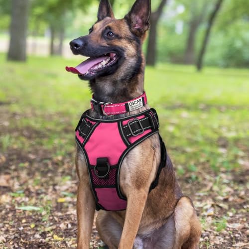 Personalized Reflective Nylon Dog Collar for Large Dogs
