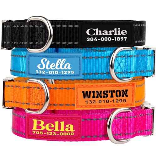 Personalized Reflective Nylon Dog Collars with Customized Name