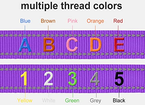 Taglory Custom Embroidered Reflective Dog Collar, Purple