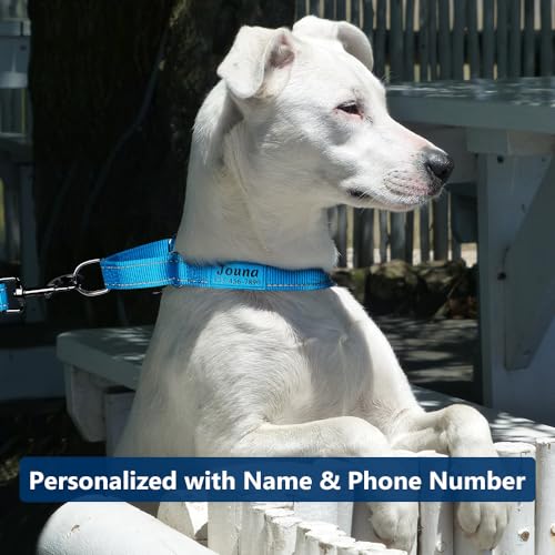 Custom Martingale Dog Collar with Quick Release Buckle