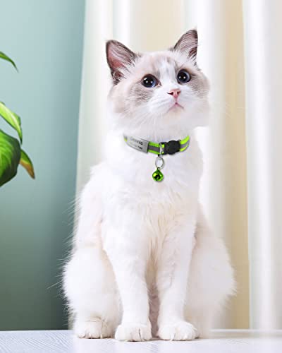 Personalized Reflective Cat Collar Set with Name Tag