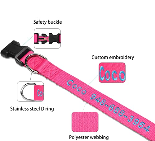 Blue FlowerTown Personalized Dog Collar with Embroidered Name