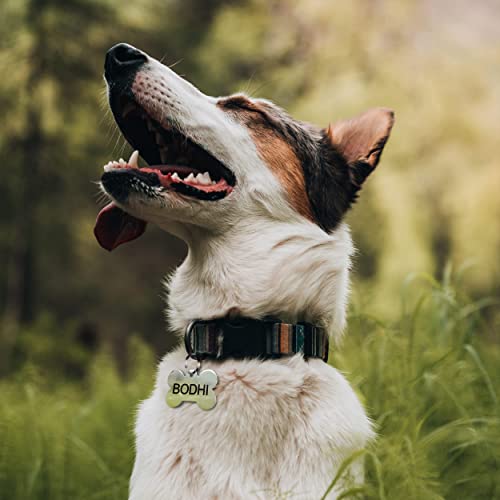 Personalized Engraved Stainless Steel Pet ID Tags with Designs