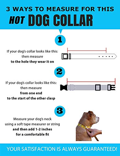 Custom Hi-Def Text & Art Dog Collar - 7 Sizes & 21 Colors